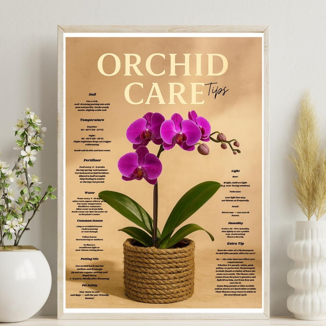Purple Phalaenopsis Orchid Care Tips Wall Art Moth Guideindoor Plant Decorbotanical Poster