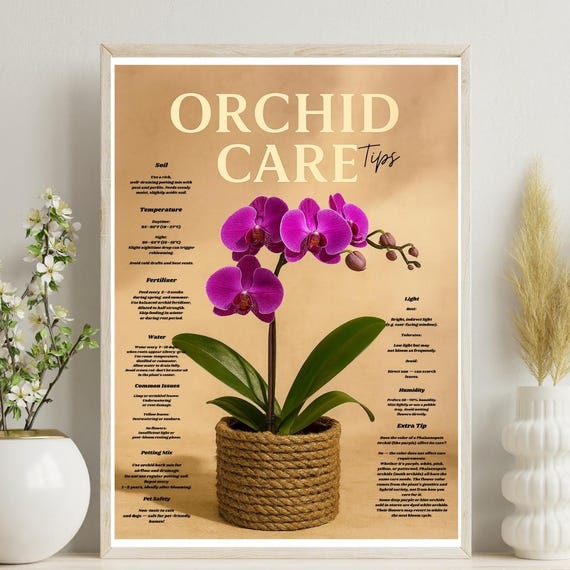 Purple Phalaenopsis Orchid Care Tips Wall Art Moth Guideindoor Plant Decorbotanical Poster