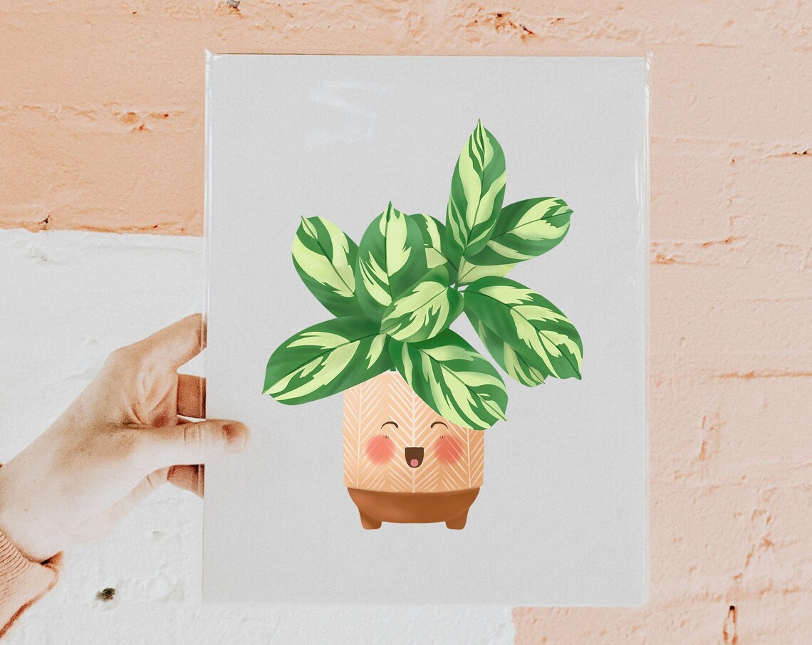 Calathea Lubbersiana Joyful Cute Smiling Kawaii Plant Art Print