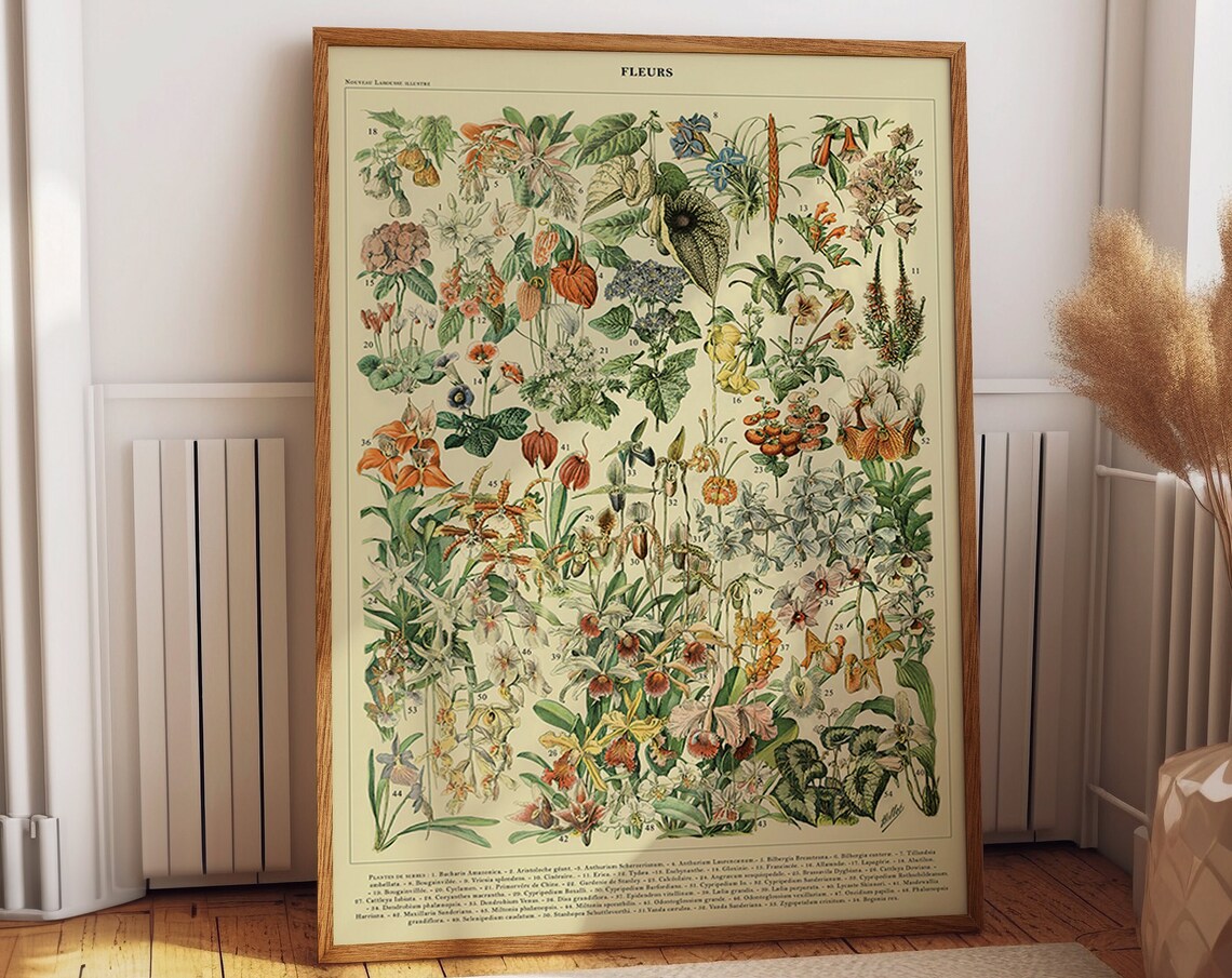 Adolph Millot Colorful Flowers Art Print