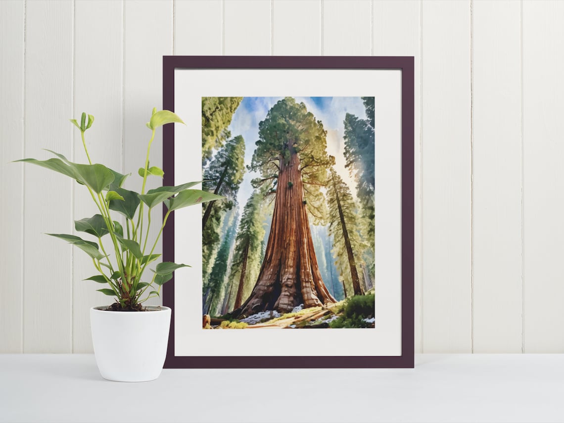 Sequoia Watercolor Art Print, Giant Forest Tree