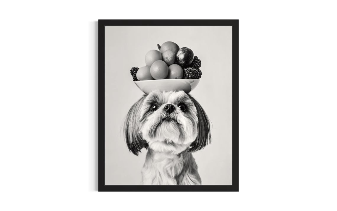 Shih Tzu Balancing Fruit Bowl Black And White Dog Portrait Poster