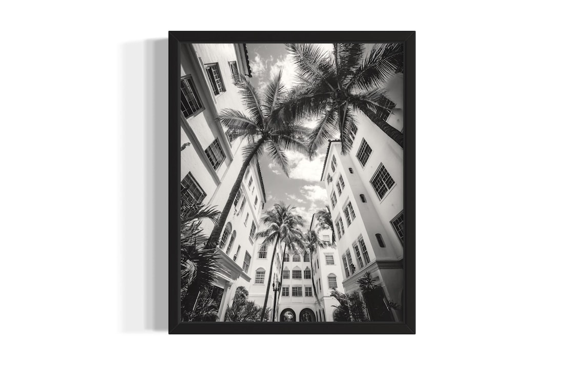 Miami Art Deco Hotel Palm Courtyard Black White Photo Poster