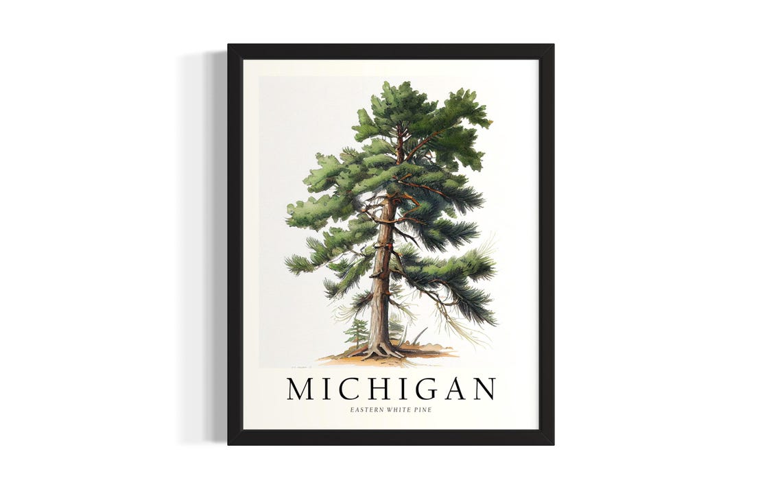 Michigan Eastern White Pine Tree Botanical Watercolor Poster