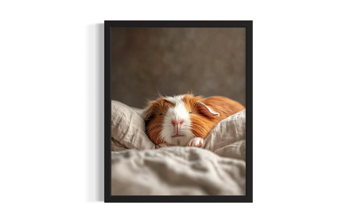 Guinea Pig Sleeping on a Pillow in Warm Cozy Light Pet Poster