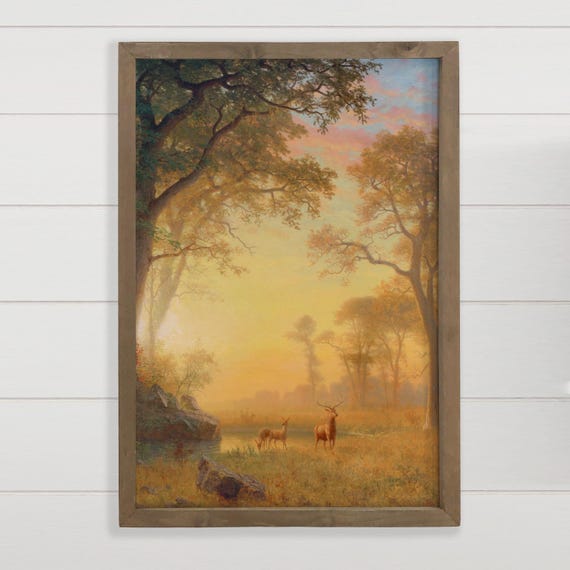 Unique Nature Art Light In The Forest Landscape Canvas Framed