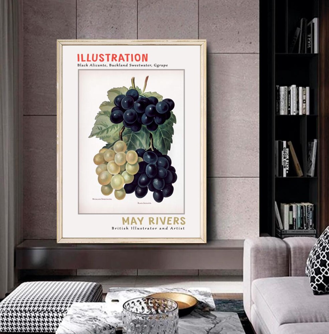 May Rivers Black Alicante Grapes Vintage Botanical Illustration Poster - Image 2