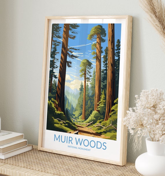 Muir Woods Print No 7 Muir Woods Poster Muir Woods Wall Art Muir Woods Art Print National Monument Muir Woods Travel Gift California