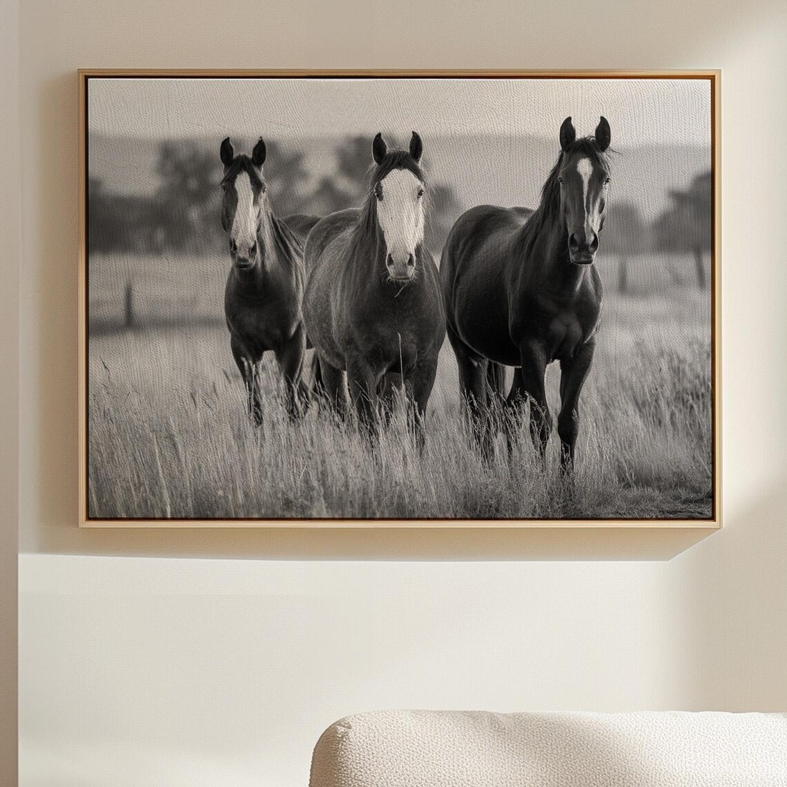 Trio Of Horses In Tall Pasture Grass Black White Photo Poster