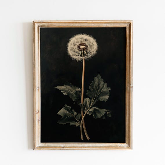 Dandelion Botanical Dark Academia Wall Art Print