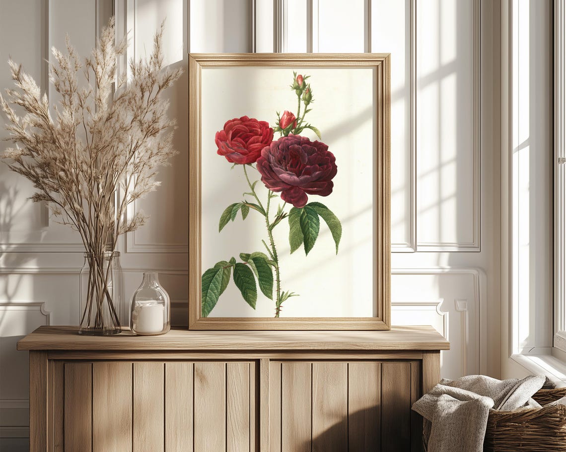 Deep Burgundy Garden Roses Classic Vintage Botanical Wall Print - Image 4