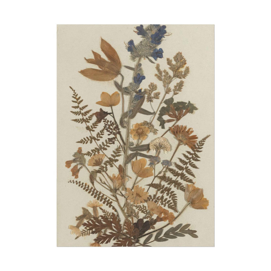 Dried Autumn Wildflowers with Ferns Vintage Pressed Botanical Poster - Image 3