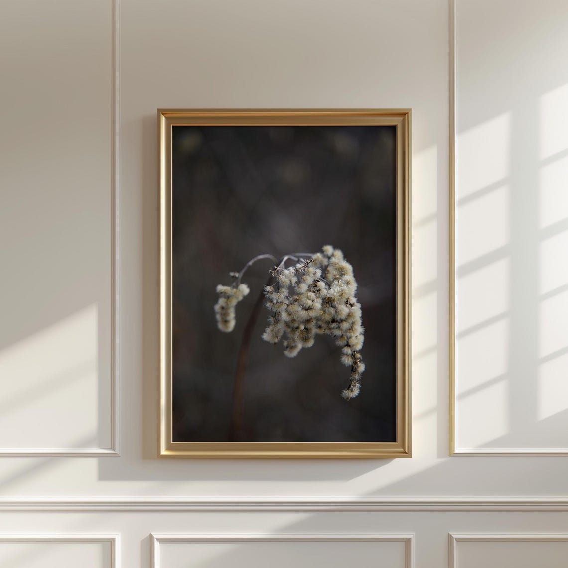 Dried Winter Grass Seed Head Moody Dark Botanical Photography Poster - Image 5