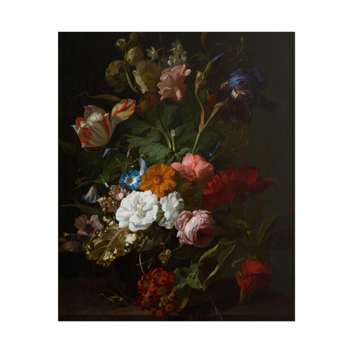 Dutch Style Dark Floral Bouquet White Peony and Tulip Poster - Image 5
