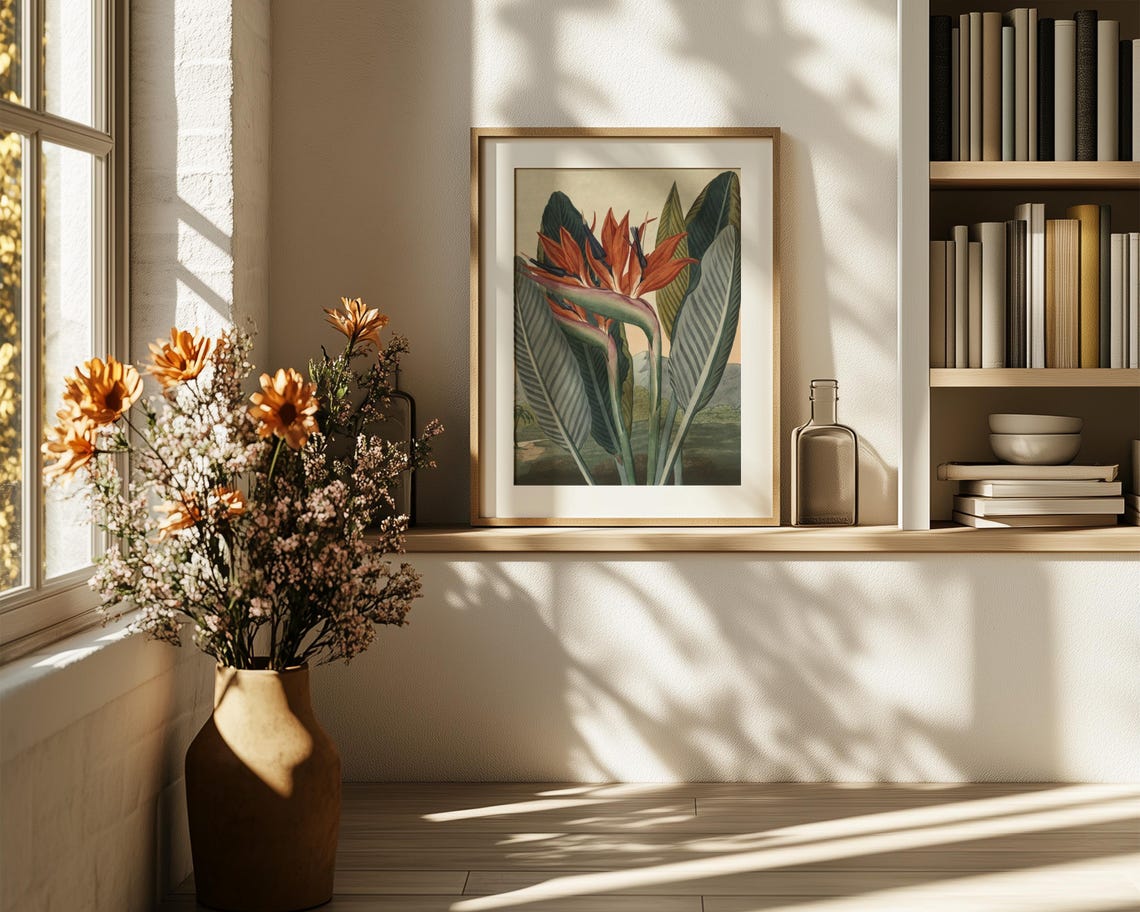 Bird of Paradise Tropical Flower Vintage Botanical Illustration Poster - Image 6
