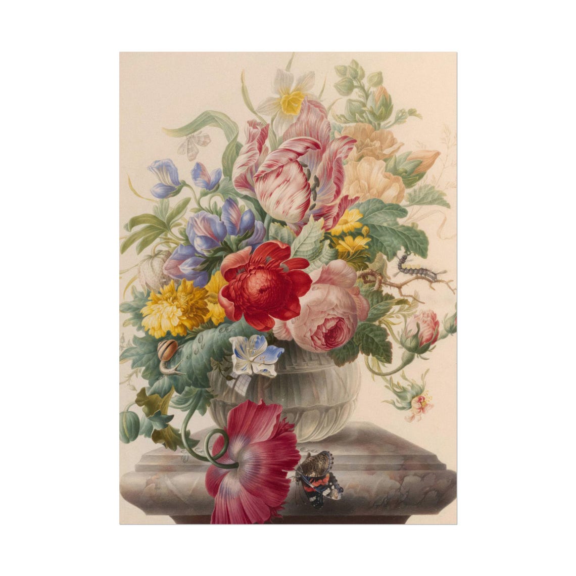 Dutch Bouquet with Parrot Tulip Butterfly and Snail Floral Poster