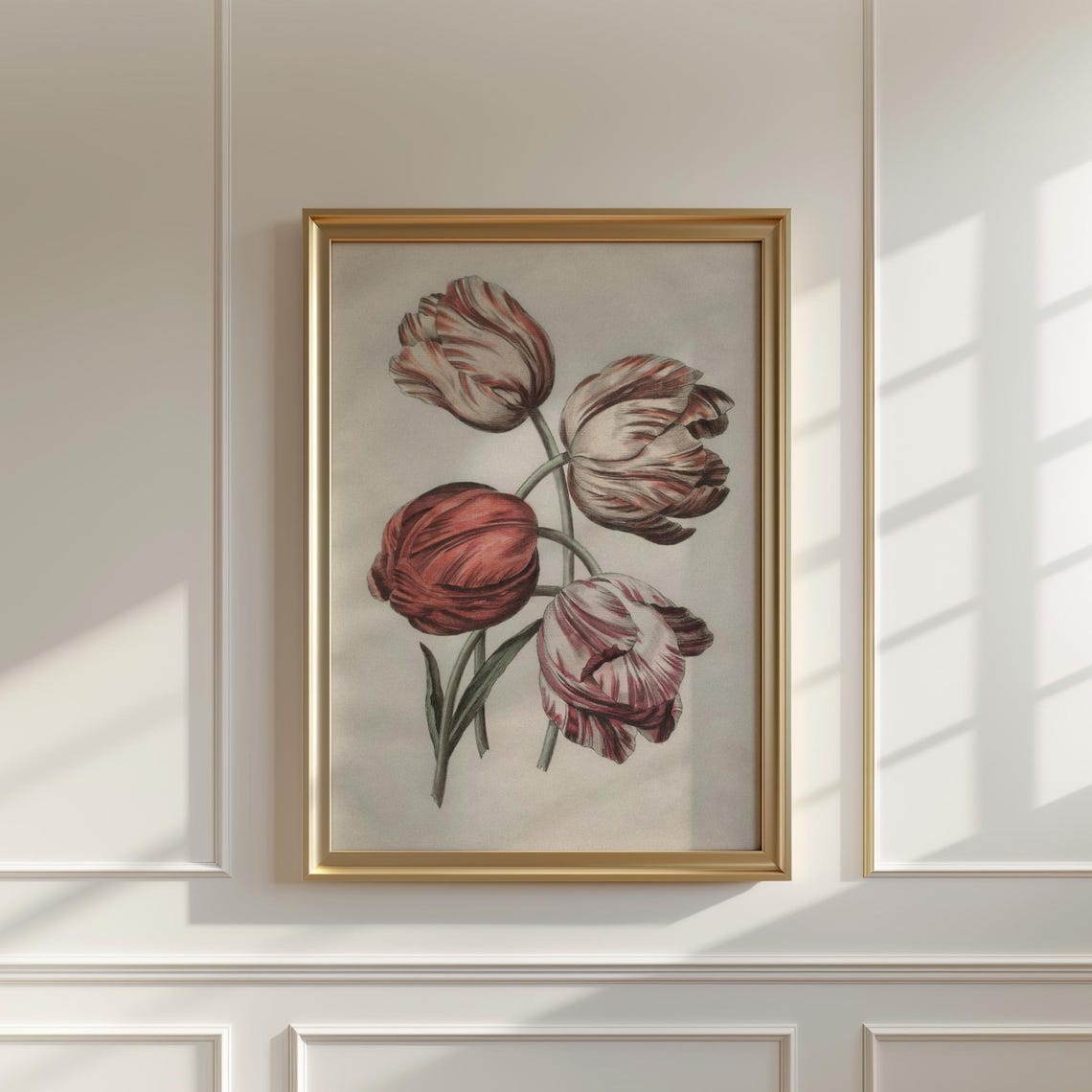 Four Red And Pink Flamed Striped Tulips Vintage Botanical Study Print - Image 5