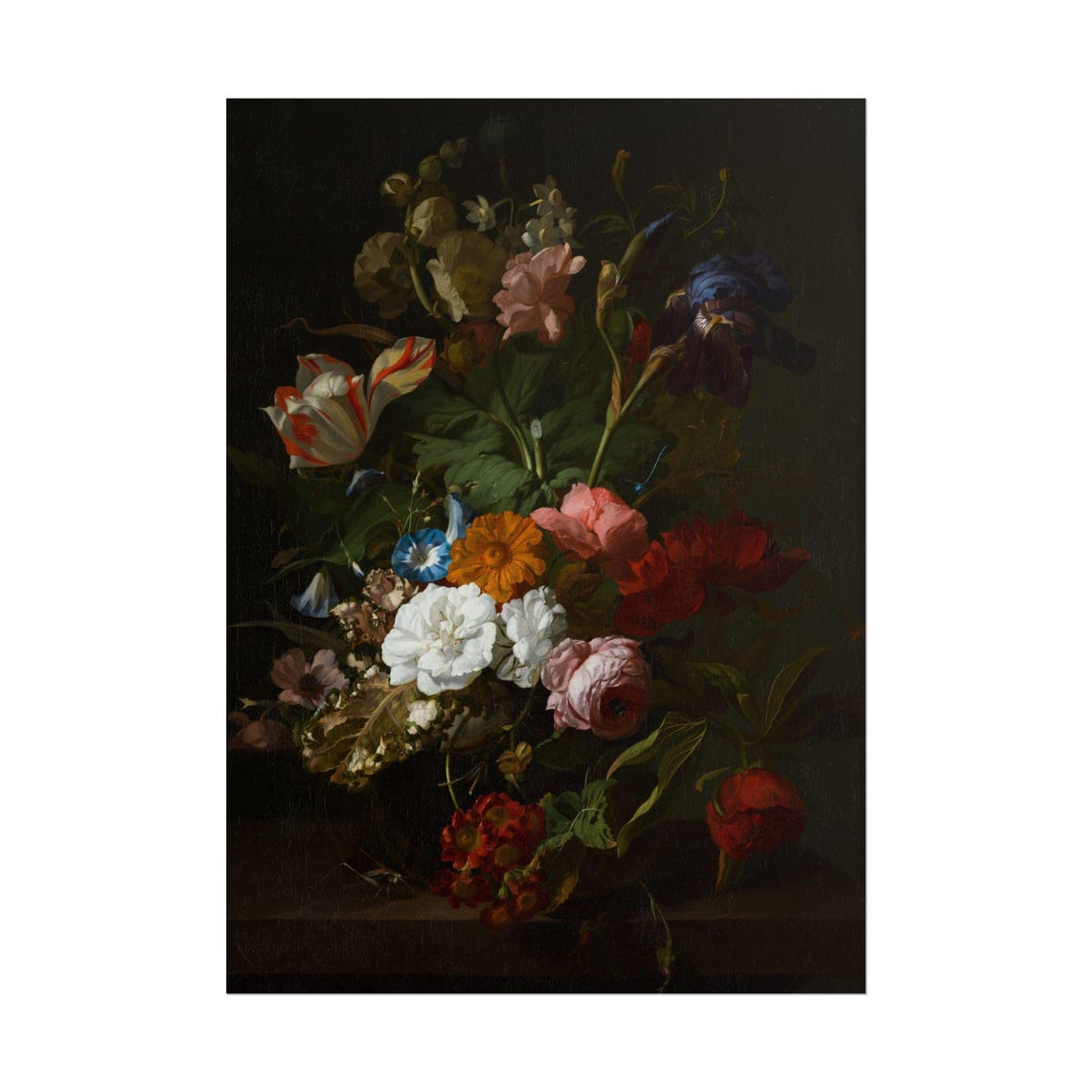 Dutch Style Dark Floral Bouquet White Peony and Tulip Poster