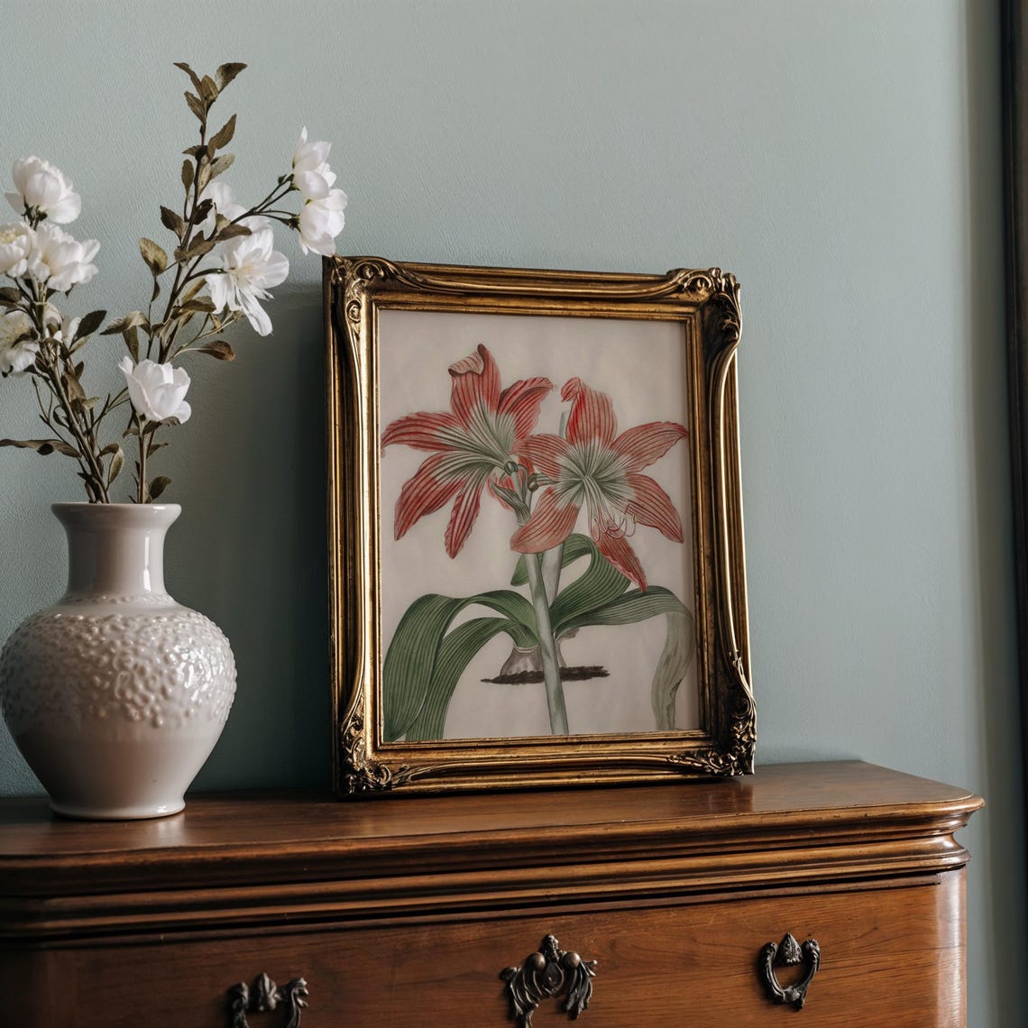 Red And White Striped Amaryllis Vintage Botanical Study Print - Image 2