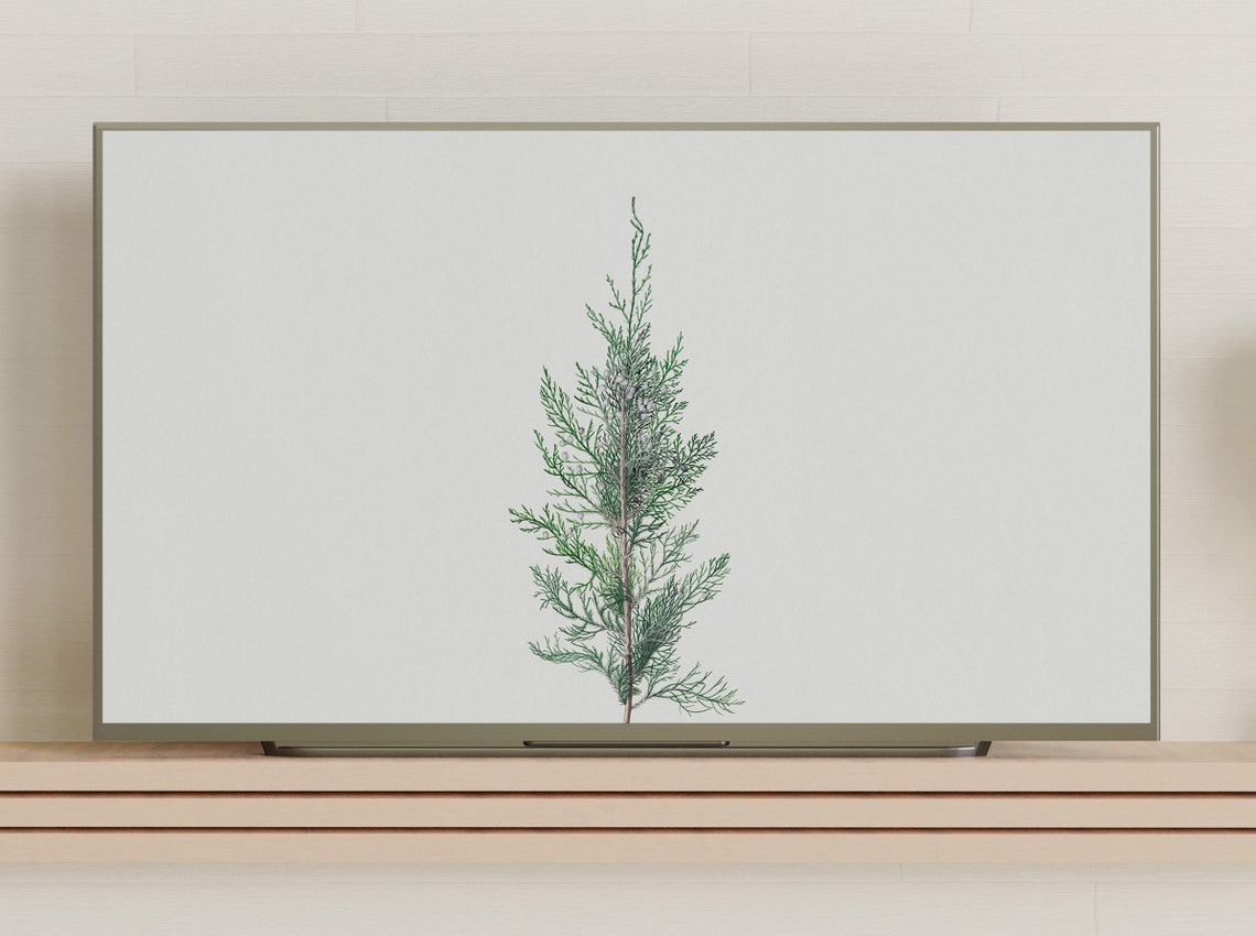 Frame Tv Art Vintage Juniper Painting Pine Trees In Art Art For Frame Tv Instant - Image 3