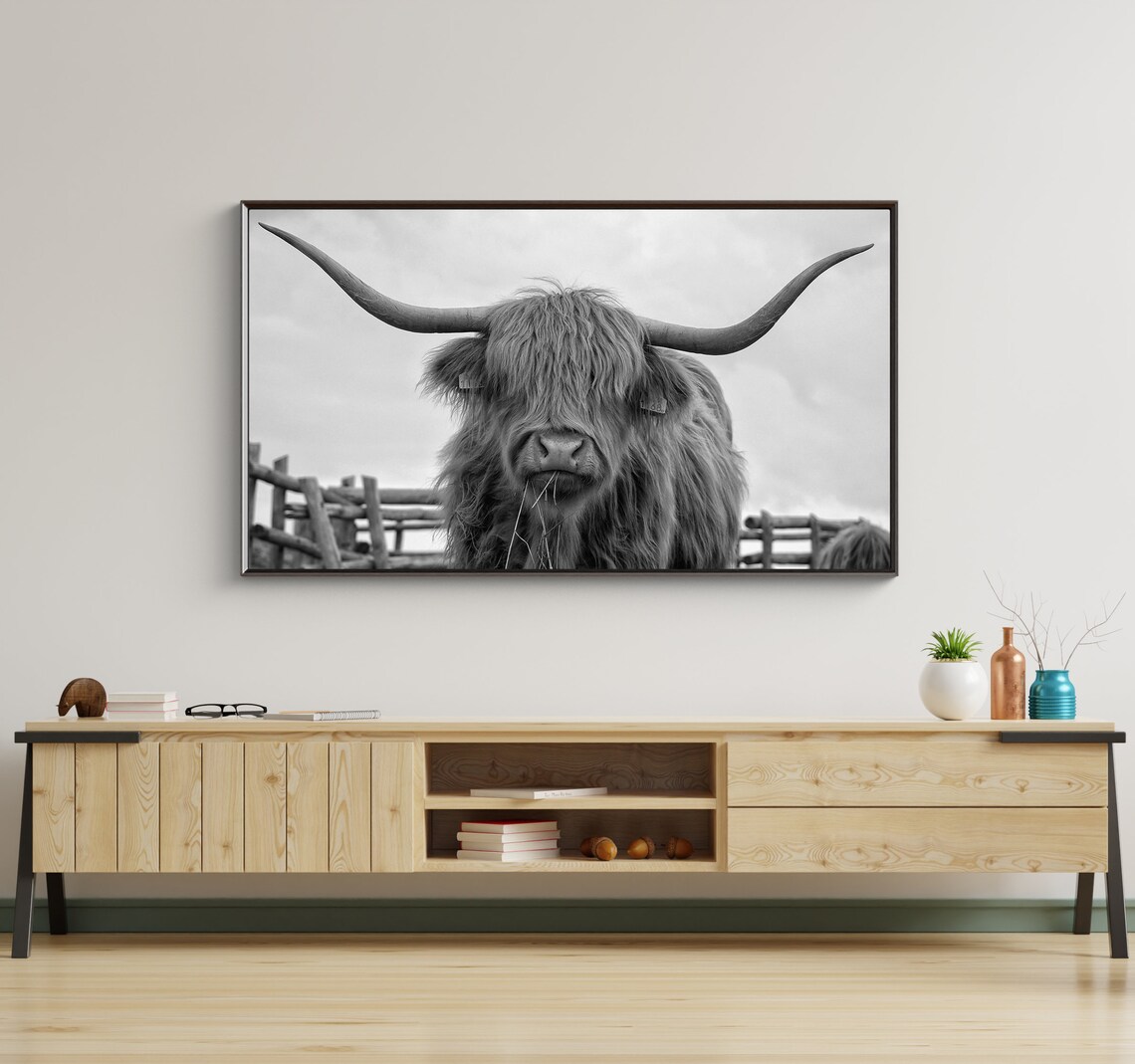 Highland Cow Black And White Long Horns Portrait Farmhouse Photo Print - Image 3