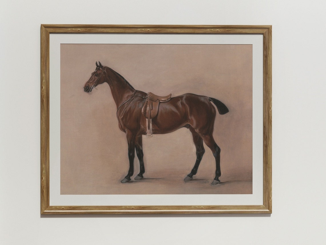Saddled Bay Horse Studio Portrait Vintage Equestrian Art Poster - Image 2