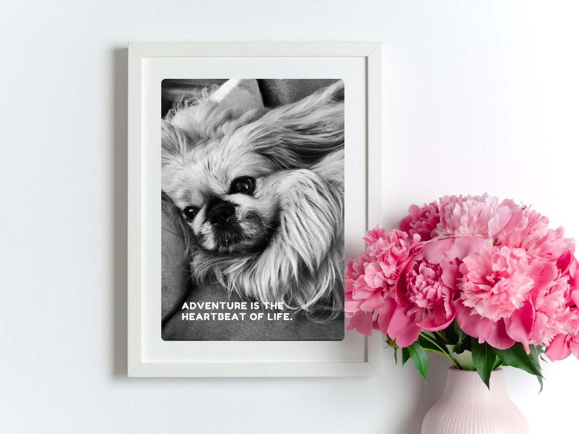 Adventure Is The Heartbeat Of Life Inspired Travel Quote Print Cute Dog Photo Wall Sassy Dog Gift Love Cute Dog Photo Gift Sassy Stray - Image 2