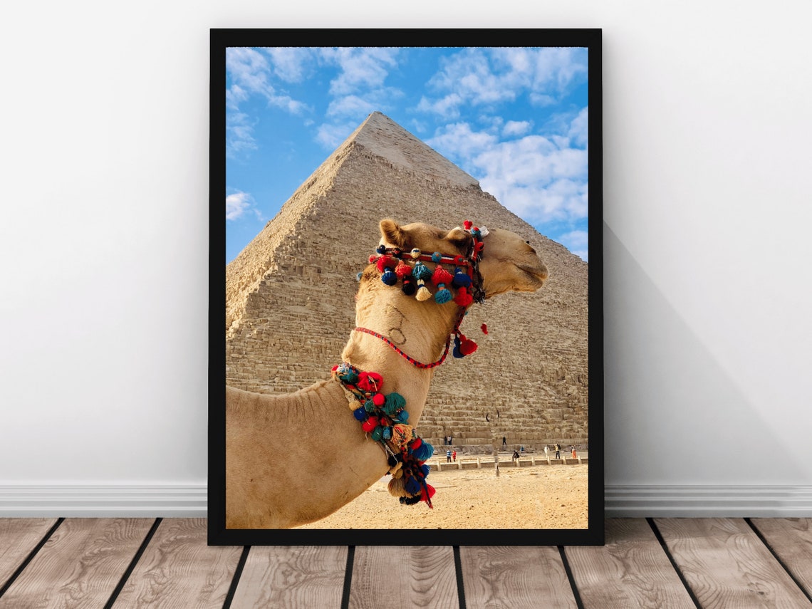 Camel Photo Travel Egypt Artful Travel Poster Gift For Wanderers Wanderlust Art Love Global Adventures Inspiring Travel Photography