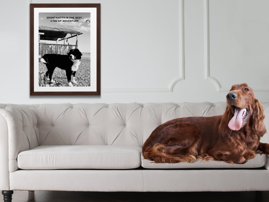 Inspirational Travel Quote Print Beach Dog Photo Wall Sassy Dog Gift Love Pet Love Gift Idea Travel Quote Photo Gift Sassy Strays