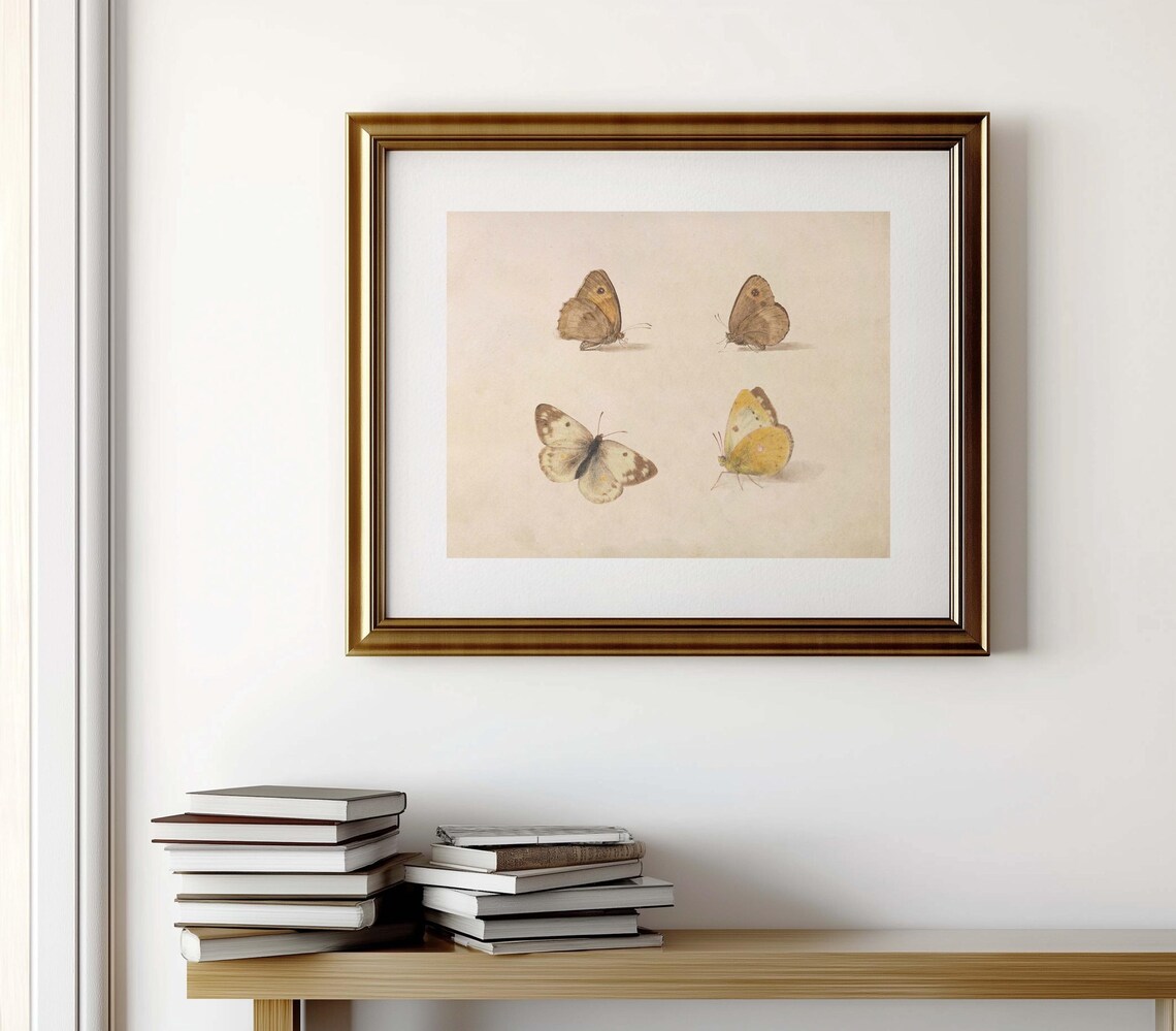 Vintage Butterfly Study, Botanical Farmhouse Illustration - Image 2