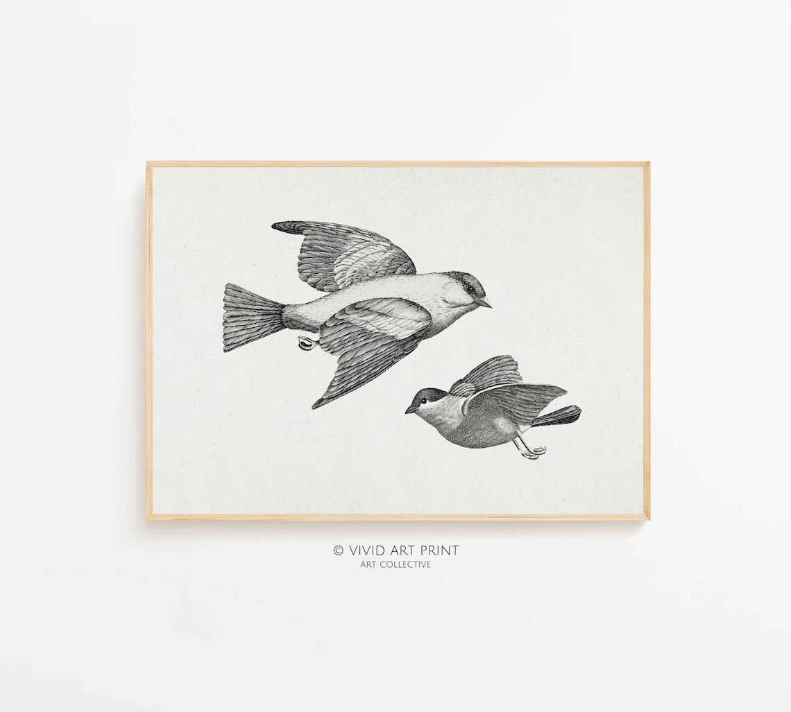 Antique Bird Sketch, Classic Farmhouse Decor