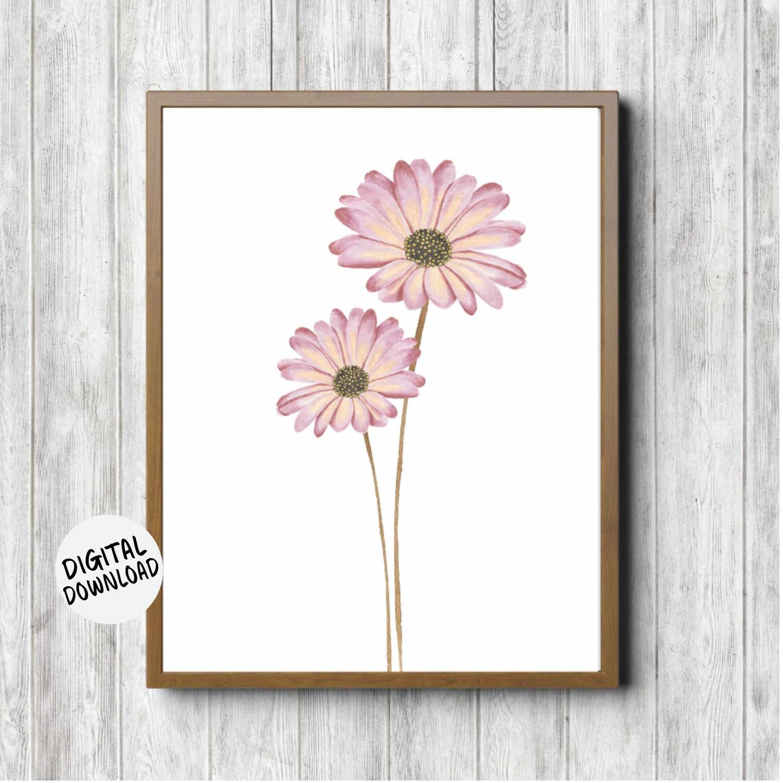Gerbera Daisies Nursery Girls Room Art Print