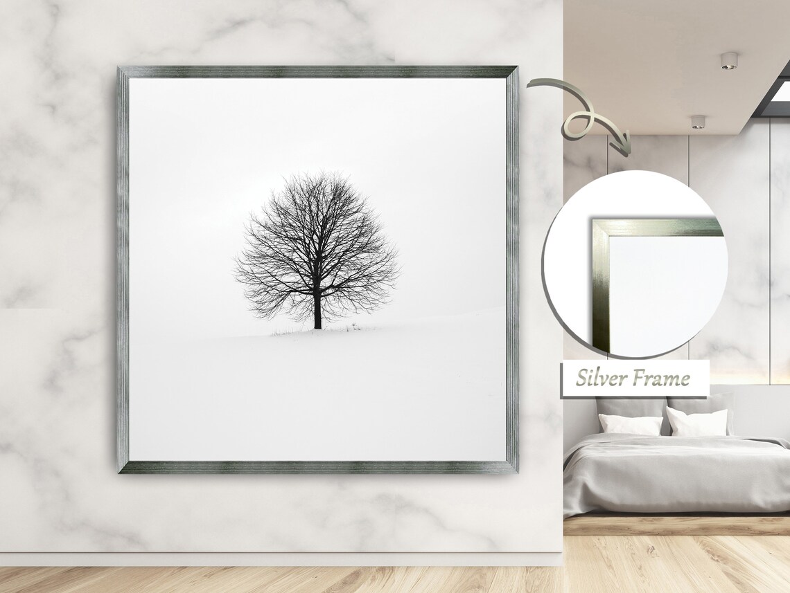 Tree Shedding Its Leaves, Cycle Of Renewal - Image 2