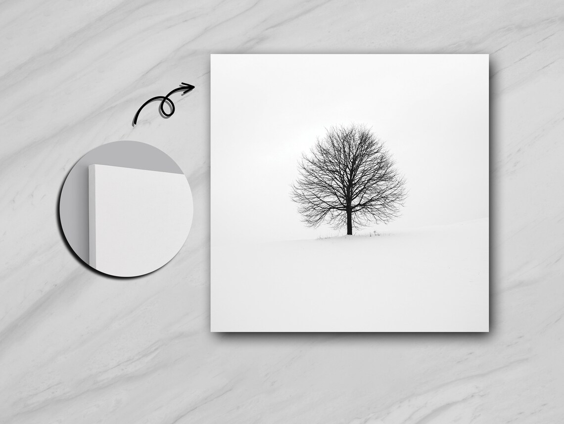 Tree Shedding Its Leaves, Cycle Of Renewal - Image 5