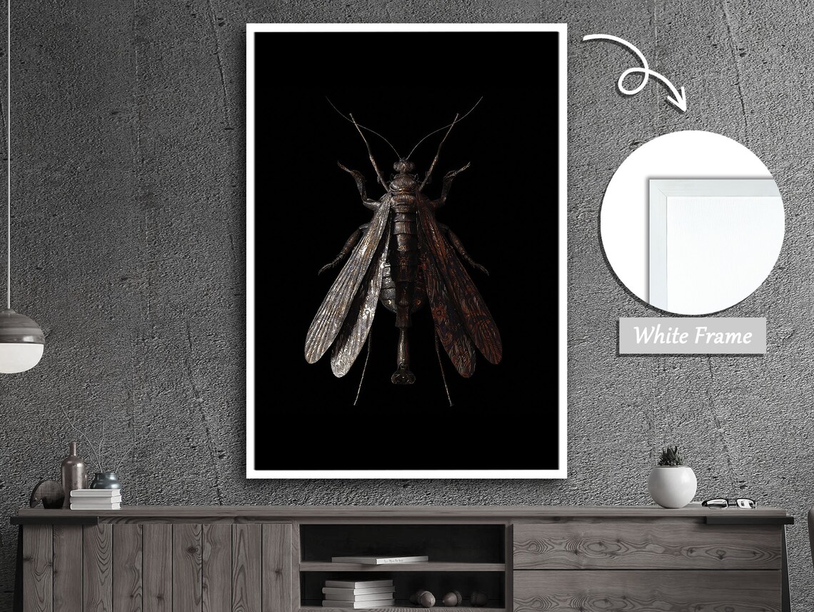 Tiny Wonders Of Nature Multi Winged Insect Portrait
