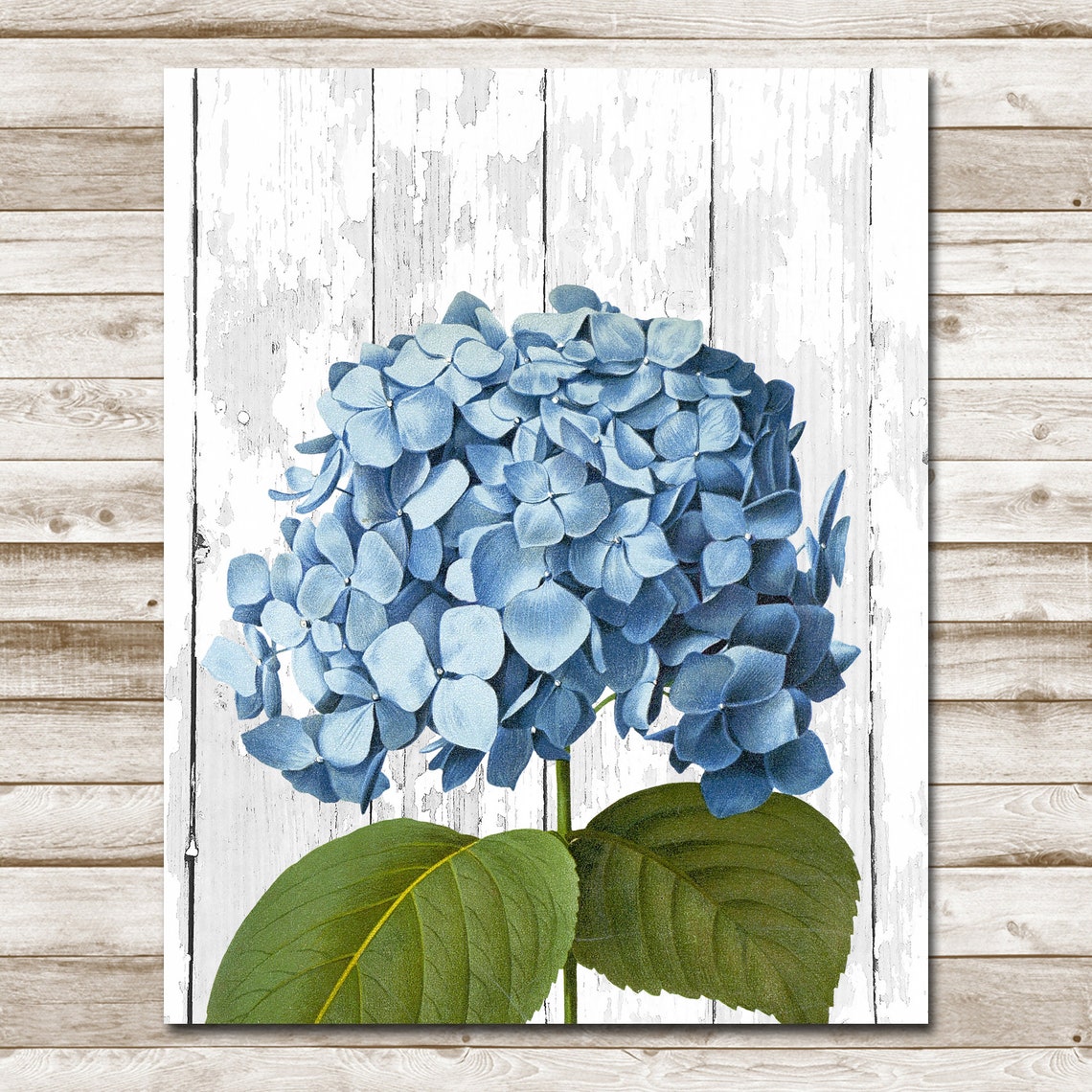 Blue Hydrangea Whitewashed Wood Rustic Floral Botanical Poster - Image 4