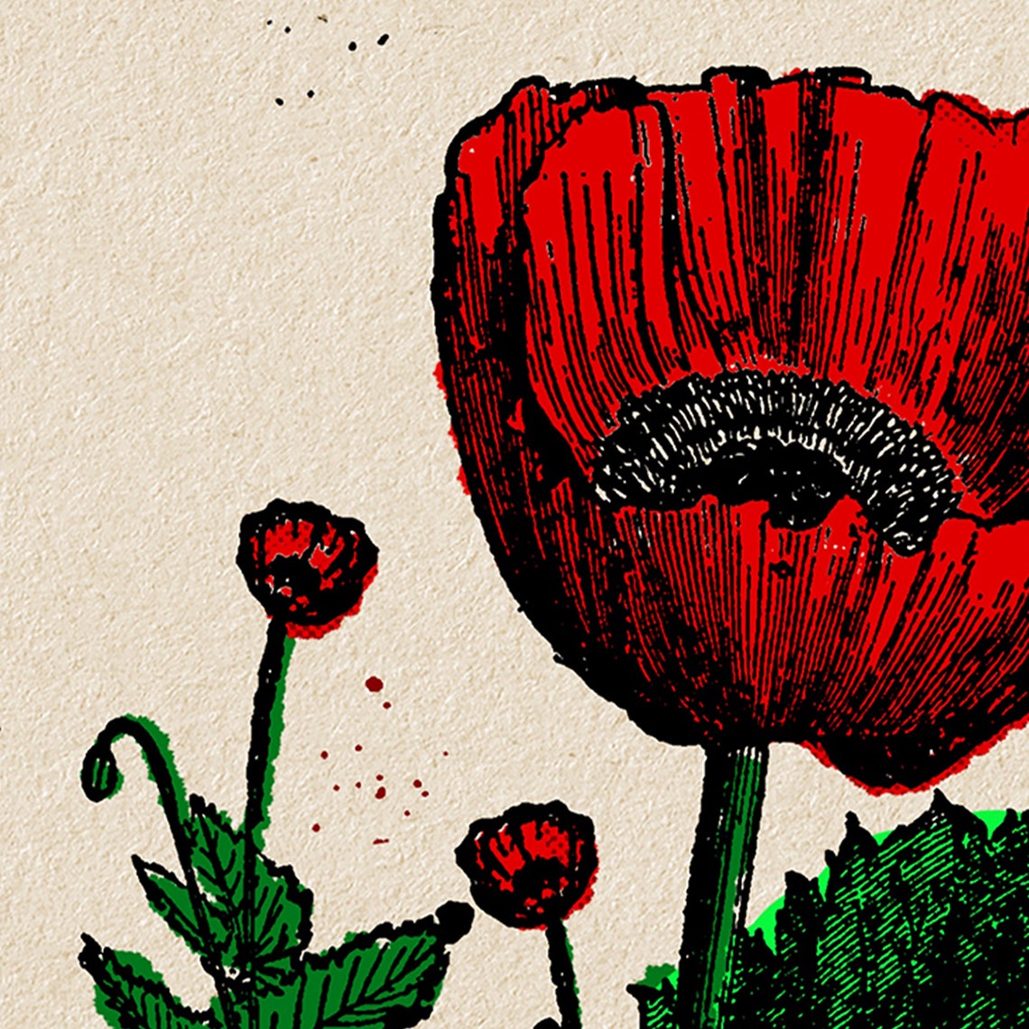 Red Poppy Flower Bloom Vintage Indian Matchbox Label Art Poster - Image 4