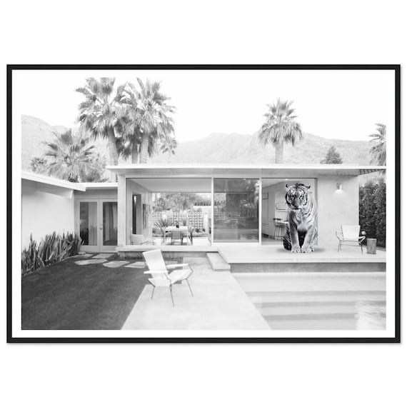 Fine Art Palm Springs Black And White Print Tiger By Pool Photography Framed Poster Exotic Home Decor