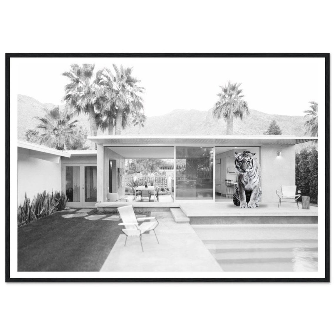 Tiger By The Pool Mid Century Modern Palm Springs Photo Poster