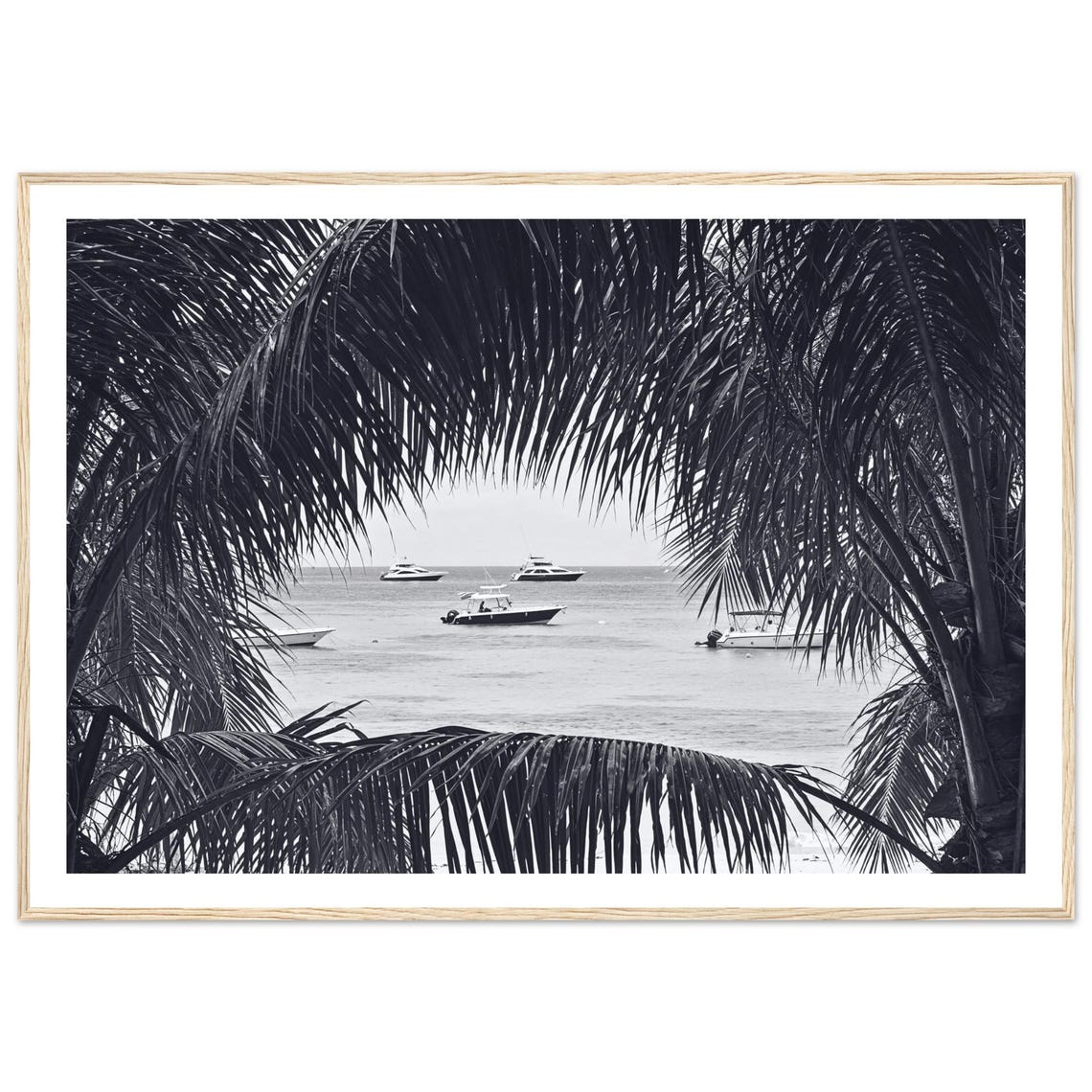 Black And White Tropical Bay With Yachts Framed By Palm Fronds Poster
