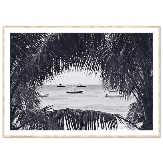 Black And White Tropical Bay With Yachts Framed By Palm Fronds Poster