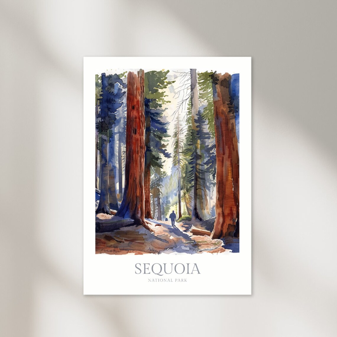 Forest Sequoia National Park Giant Redwoods Hiker Trail Watercolor Poster