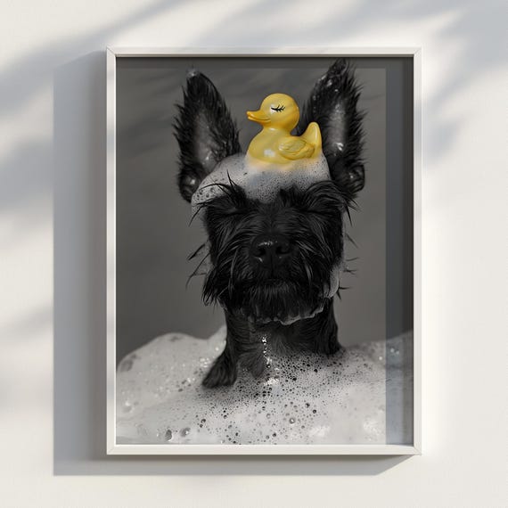 Scottish Terrier Bubble Bath Funny Black White Dog Bathroom Wall Art With Rubber Duck For Pet Lovers Poster