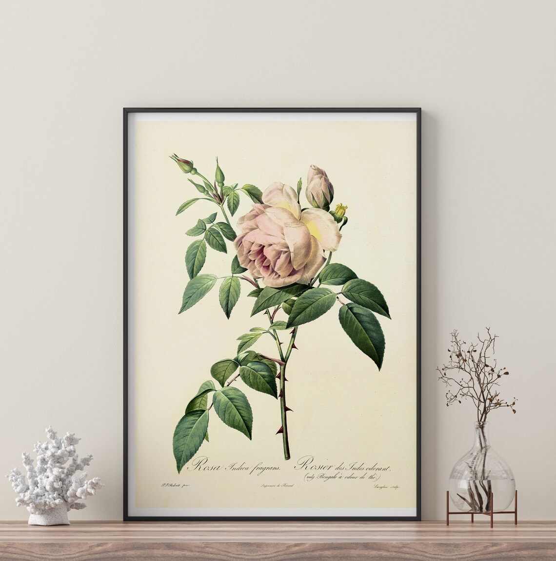 Rose Watercolour Branch Botanical Art Print