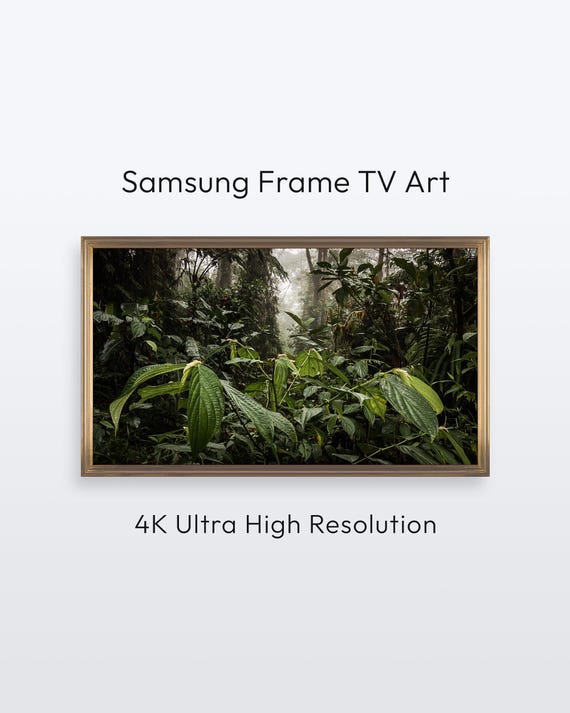Rainforest Samsung Frame Tv Art Costa Rica Nature Photography 4k Print
