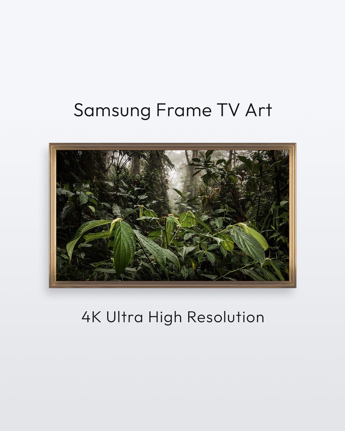 Rainforest Samsung Frame Tv Art Costa Rica Nature Photography 4k Print