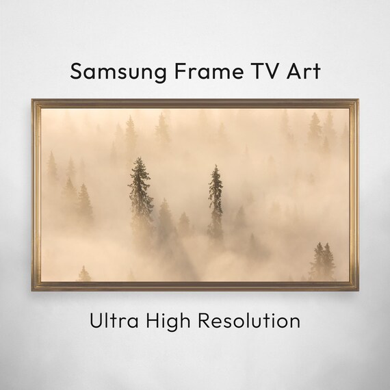 Foggy Pine Forest Golden Mist Morning Nature Photography Art Poster
