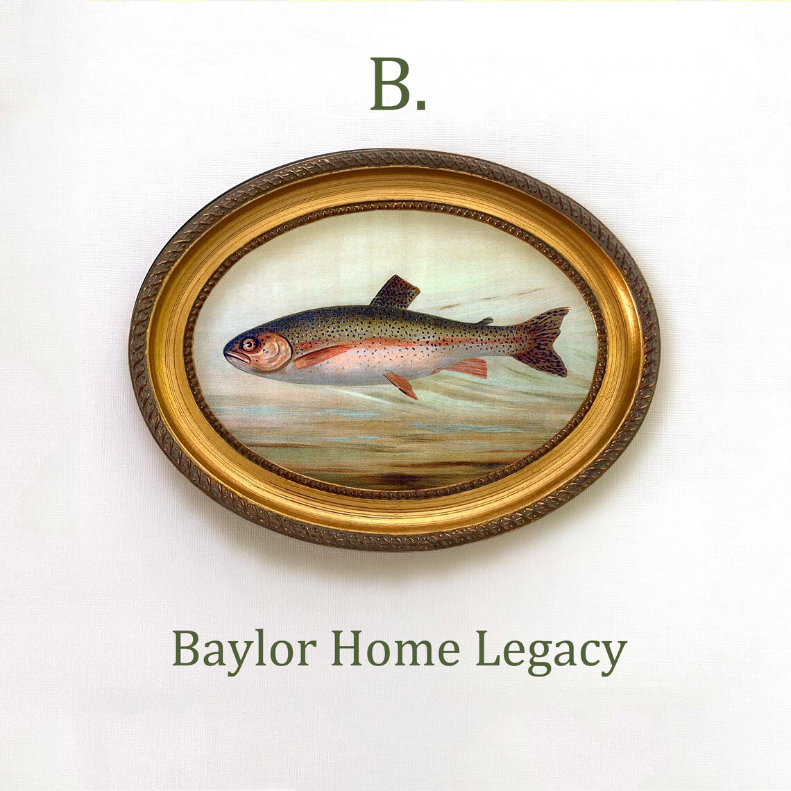 Rainbow Trout Antique Lithograph, Oval Fish Art Print - Image 4
