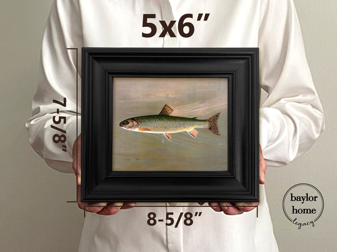 Brook Trout Swimming Detailed Vintage Fish Painting Nature Art Poster - Image 5
