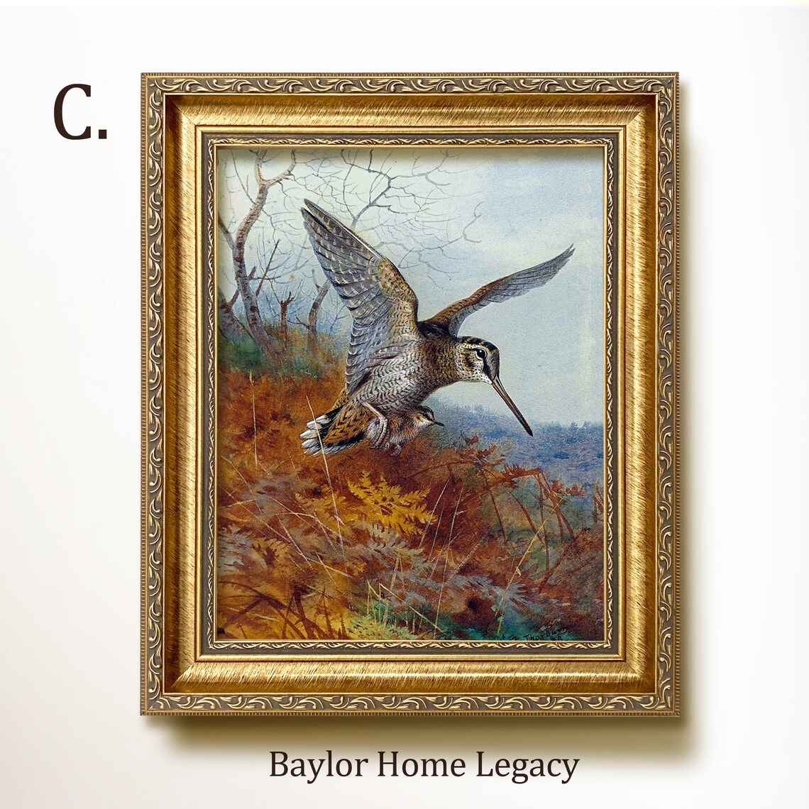 Woodcock in Flight Over Autumn Marsh Vintage Bird Wildlife Art Poster - Image 3
